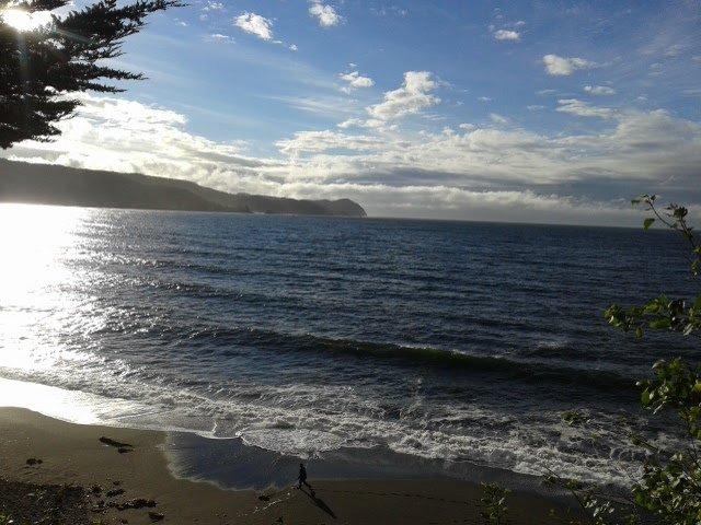 Valdivia, playa grande de niebla
