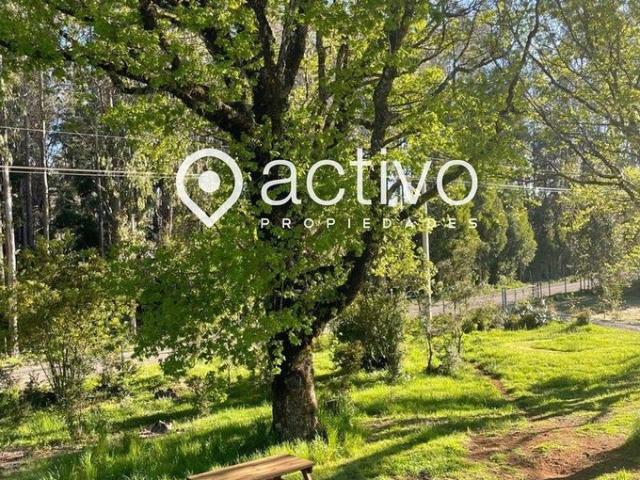 Valdivia, Ruta t 340