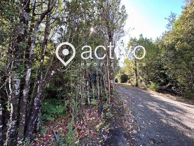 Valdivia, Valdivia, Punucapa