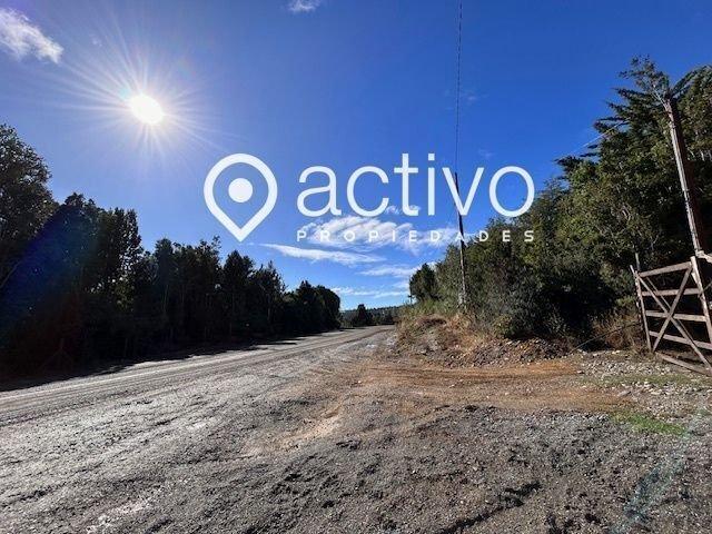 Valdivia, Valdivia, Punucapa