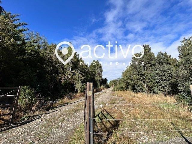 Valdivia, Valdivia, Punucapa