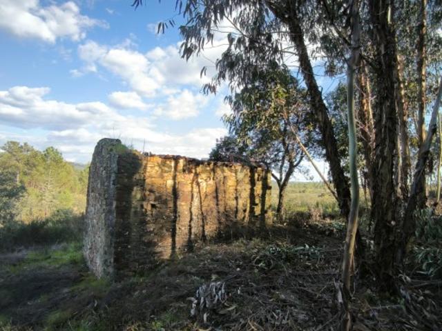 Casa venda em Castelo Branco