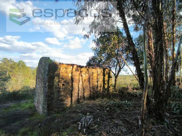 Quinta venda em Castelo Branco