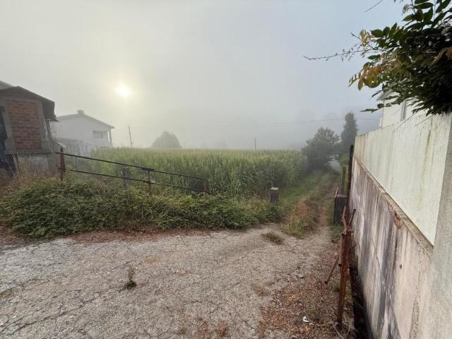 Terreno venda em Vale De Cambra, Aveiro
