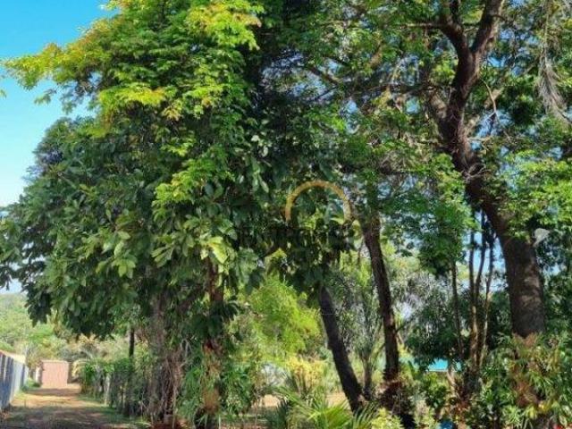 Sítio e chácara venda em Região Imediata de Bauru, Bauru