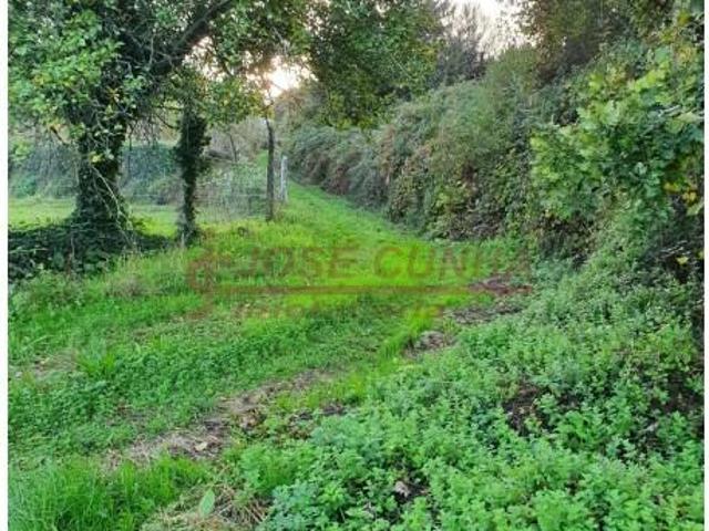 Terreno venda em Valença, Viana Do Castelo