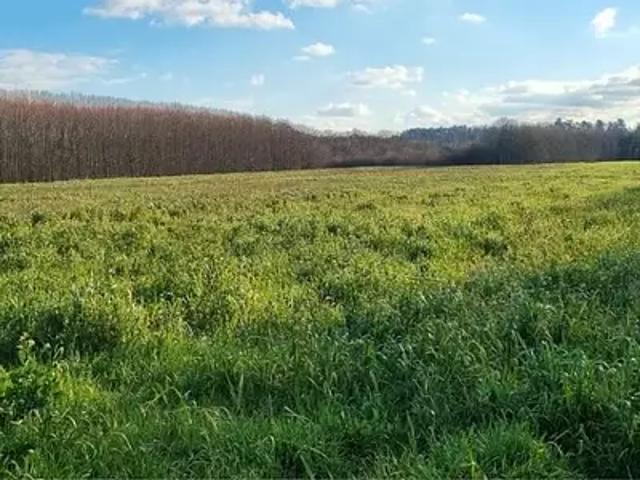 Terrain vente à Valence