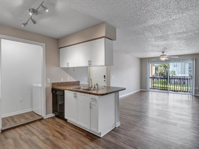Apartment for rent in Tampa, Florida
