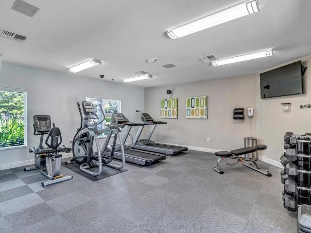 Apartment for rent in Tampa, Florida