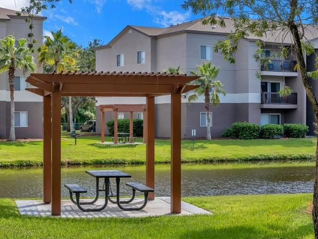 Apartment for rent in Tampa, Florida