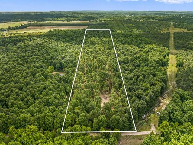 Land for sale in Copemish, Michigan
