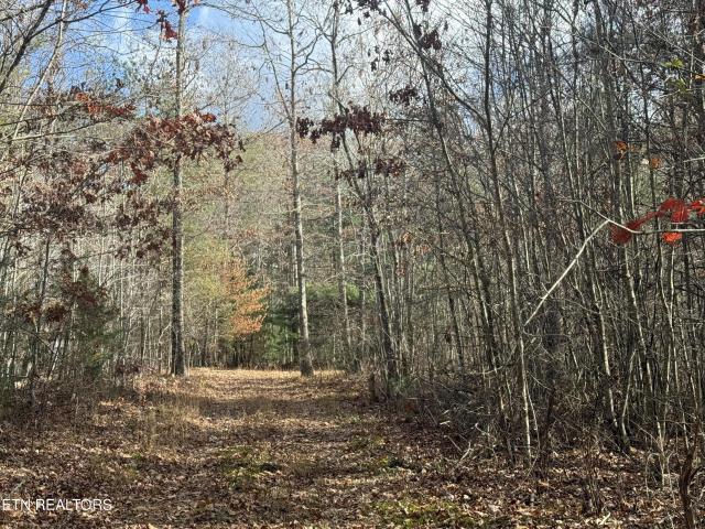 Land for sale in Tennessee