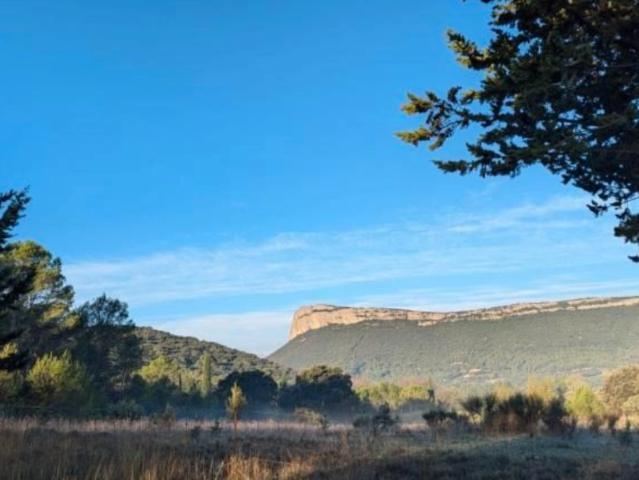 Terrain vente à Lodève, Valflaunès