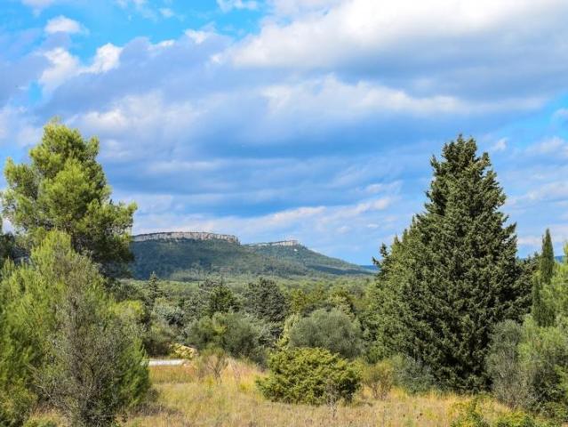 Terrain vente à Lodève, Valflaunès
