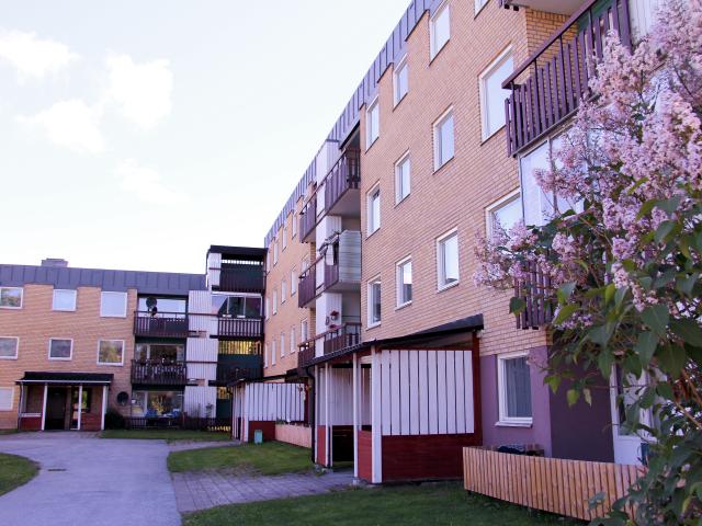 Lägenhet hyra i Örnsköldsvik, Västernorrland
