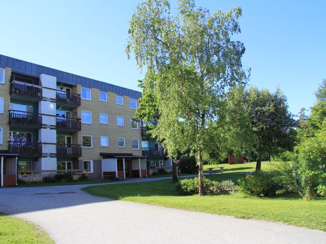 Lägenhet hyra i Örnsköldsvik, Västernorrland