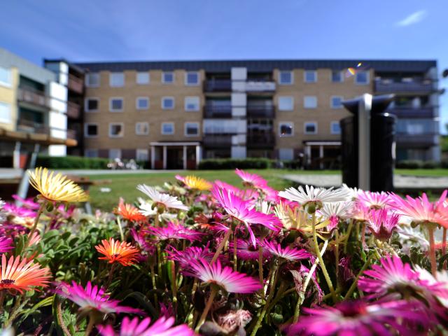 Lägenhet hyra i Lungvik, Örnsköldsvik