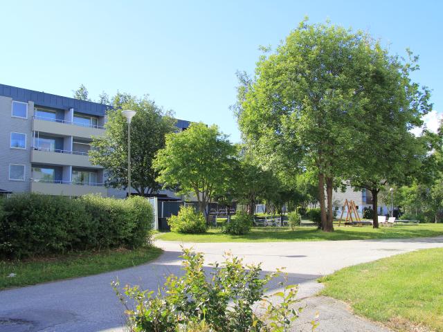 Lägenhet hyra i Örnsköldsvik, Västernorrland