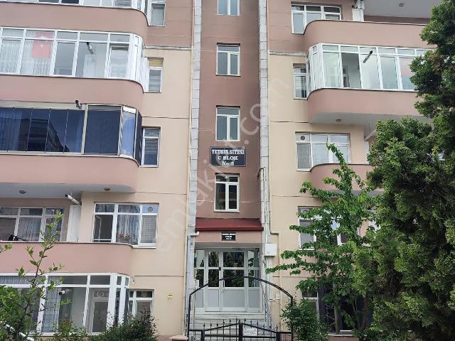 Edirne Merkez, Edirne içerisinde kiralık mülk