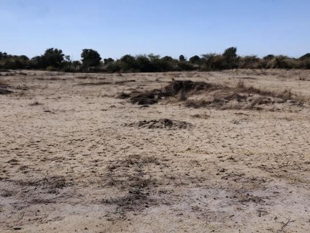 Land for sale in Bikaner, Rajasthan