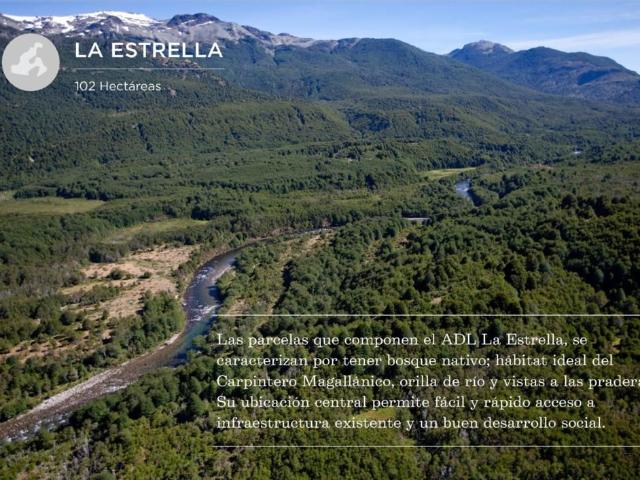 Terreno en venta en Palena, Los Lagos