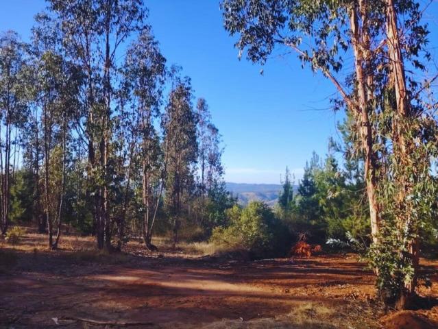Terreno en venta en San Fernando, Libertador General Bernardo O'higgins
