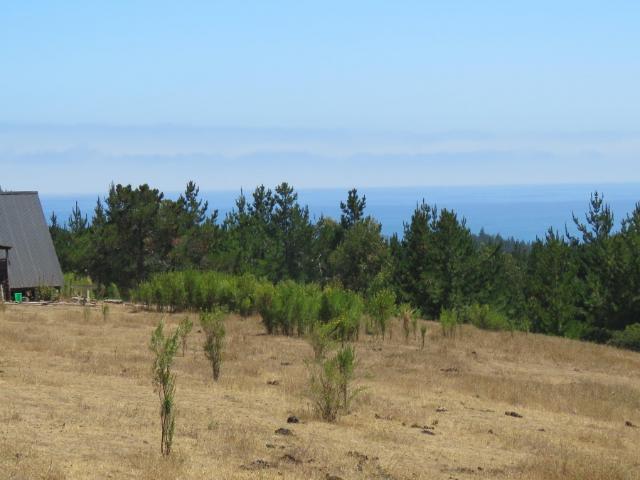 Terreno en venta en Ñuble