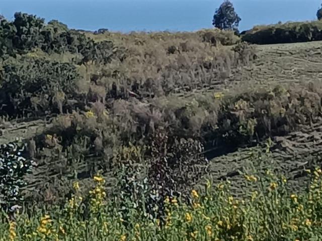 Terreno en venta en Ñuble