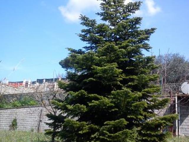Terreno in vendita a Valle Martella, Zagarolo