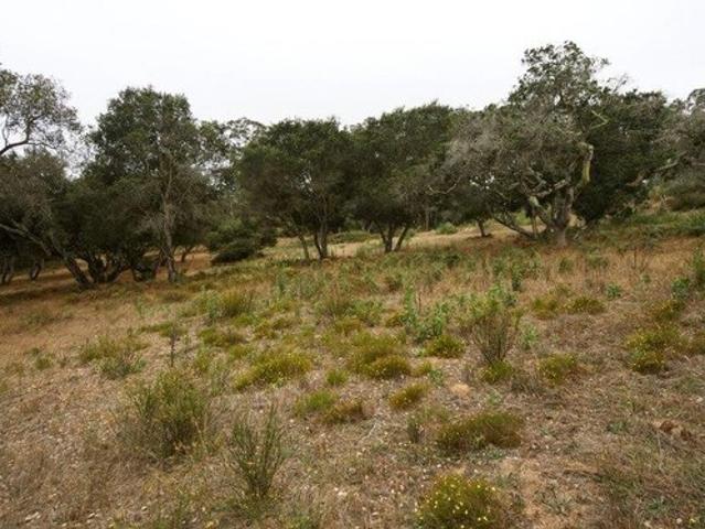 Land for sale in Salinas, California