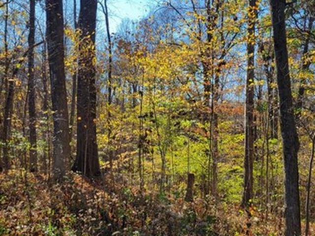Land for sale in Greencastle, Indiana