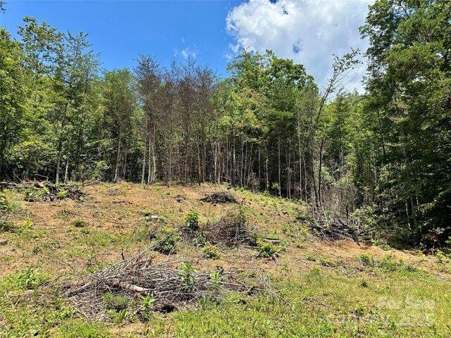 Land for sale in Lenoir
