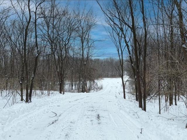 Land for sale in Leo, Indiana