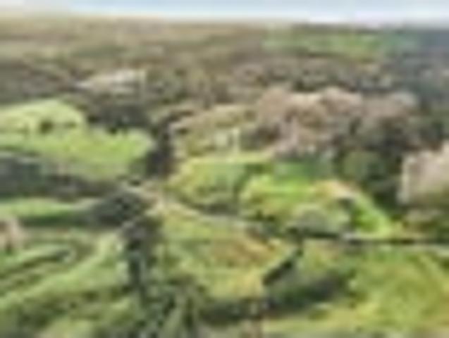 Land for sale in Kawau Island