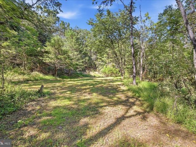 Land for sale in Strasburg, Warren County