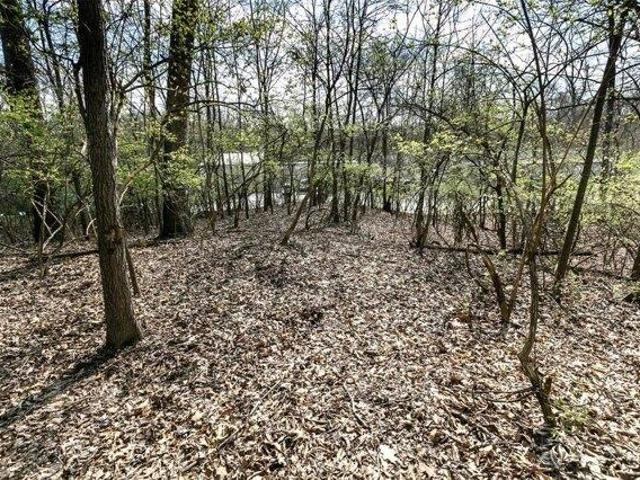 Land for sale in Valley Park, Missouri