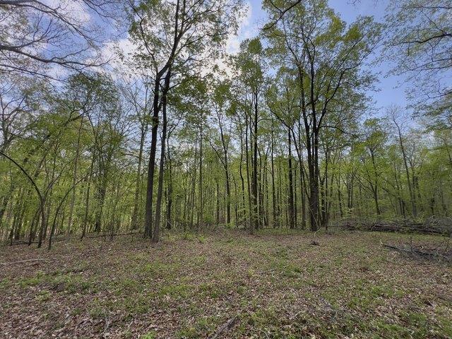 Land for sale in Tennessee