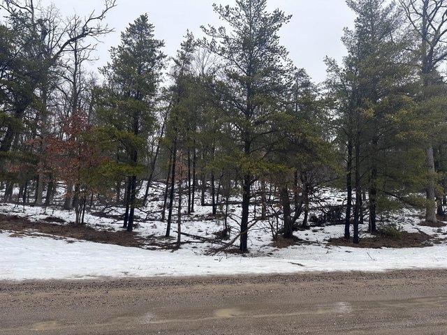 Land for sale in Rose City, Michigan