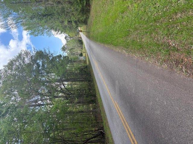 Land for sale in Hamilton, Georgia