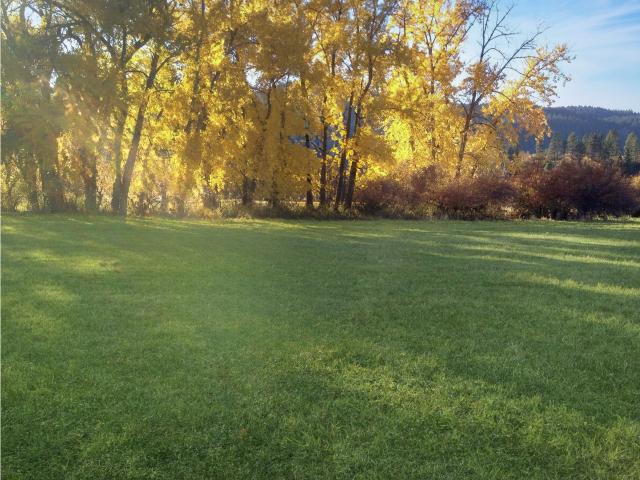 Land for sale in Oregonia