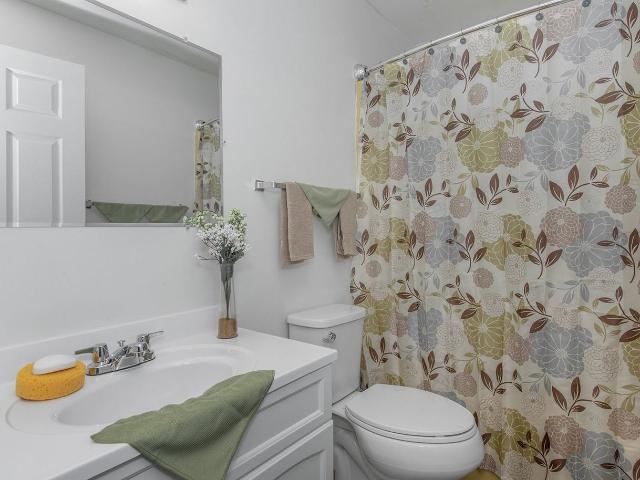 Apartment for rent in Iowa