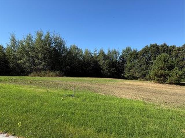Land for sale in Osseo, Wisconsin