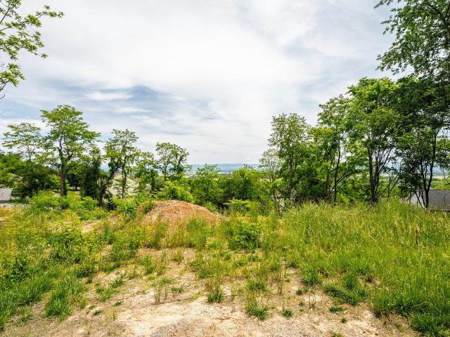 Land for sale in Virginia