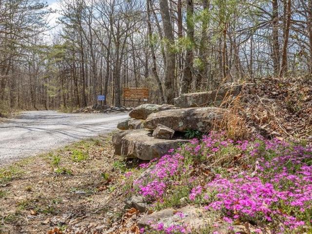 Land for sale in Tennessee