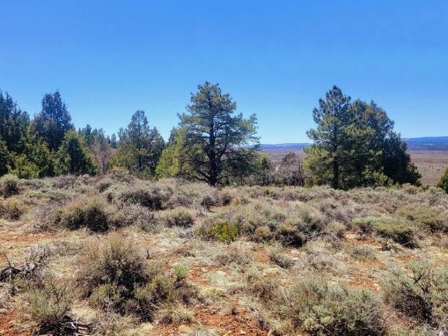 Land for sale in Duck Creek Village, Utah