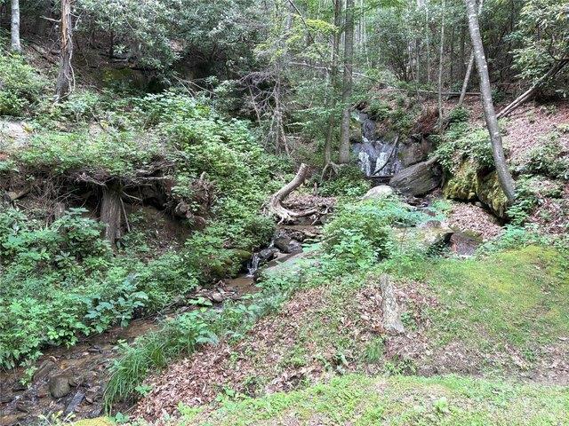 Land for sale in Haywood, North Carolina