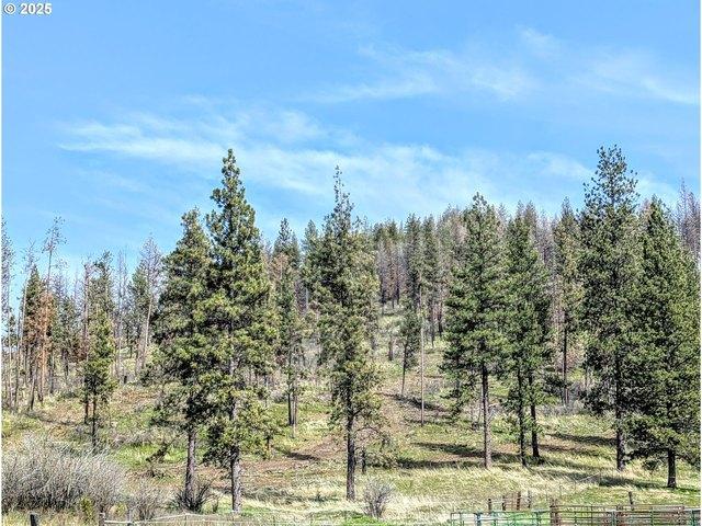 Land for sale in Oregonia