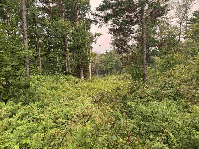 Land for sale in West Dover, Vermont