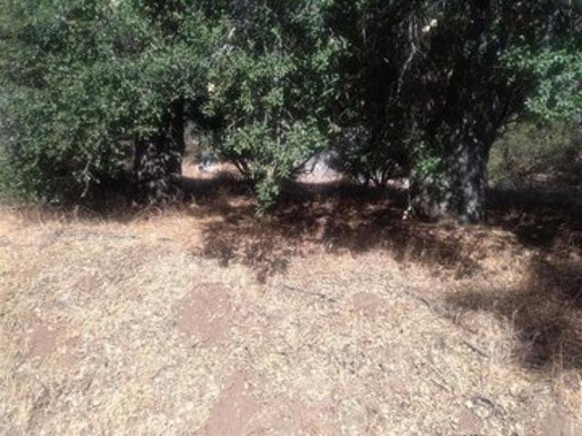 Land for sale in Pine Valley, California