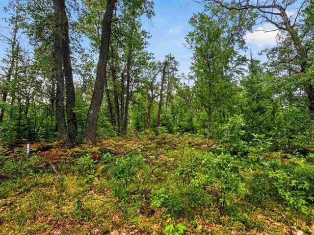 Land for sale in Mio, Michigan